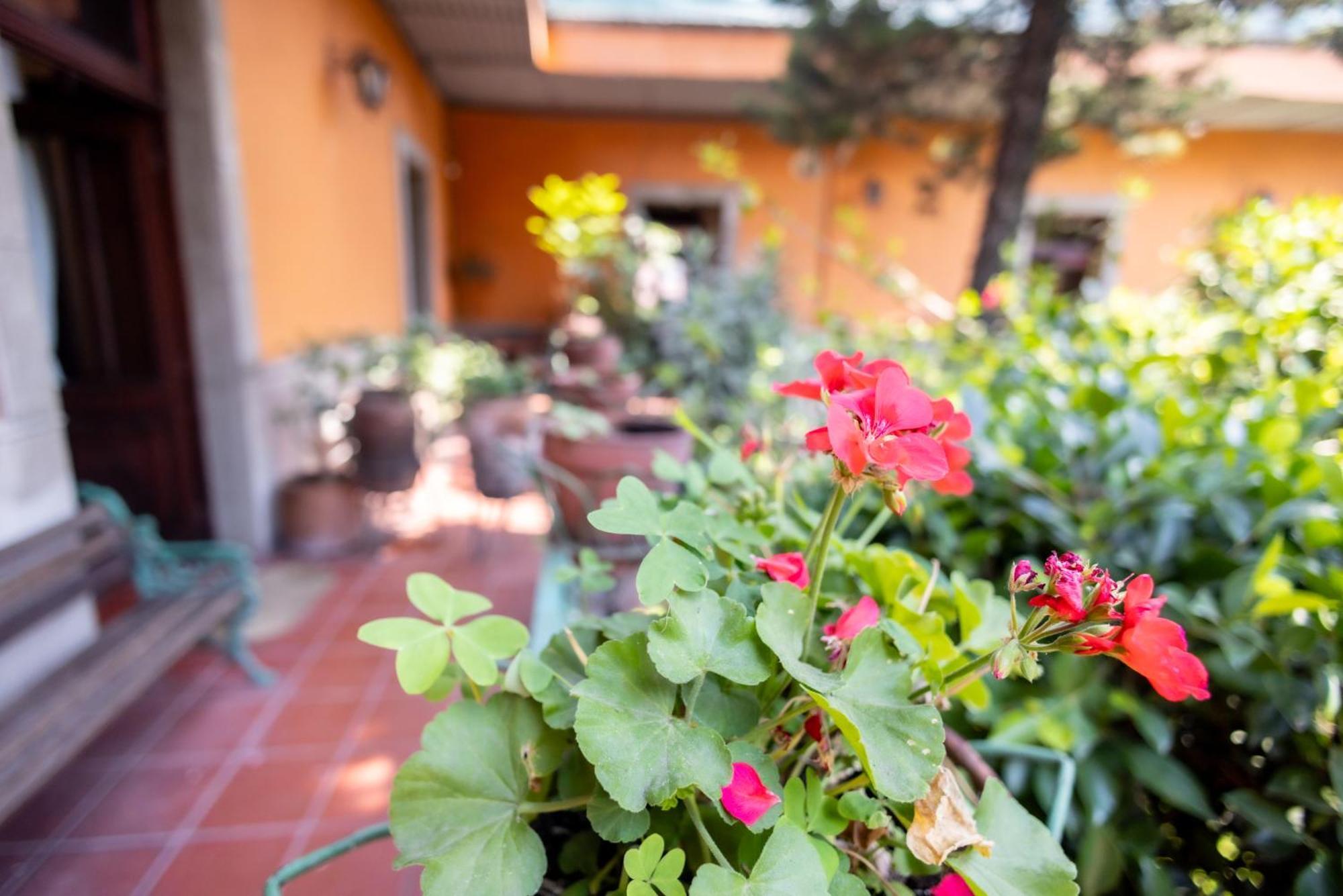 Hacienda Gobernadores Mexiko-Stadt Exterior foto
